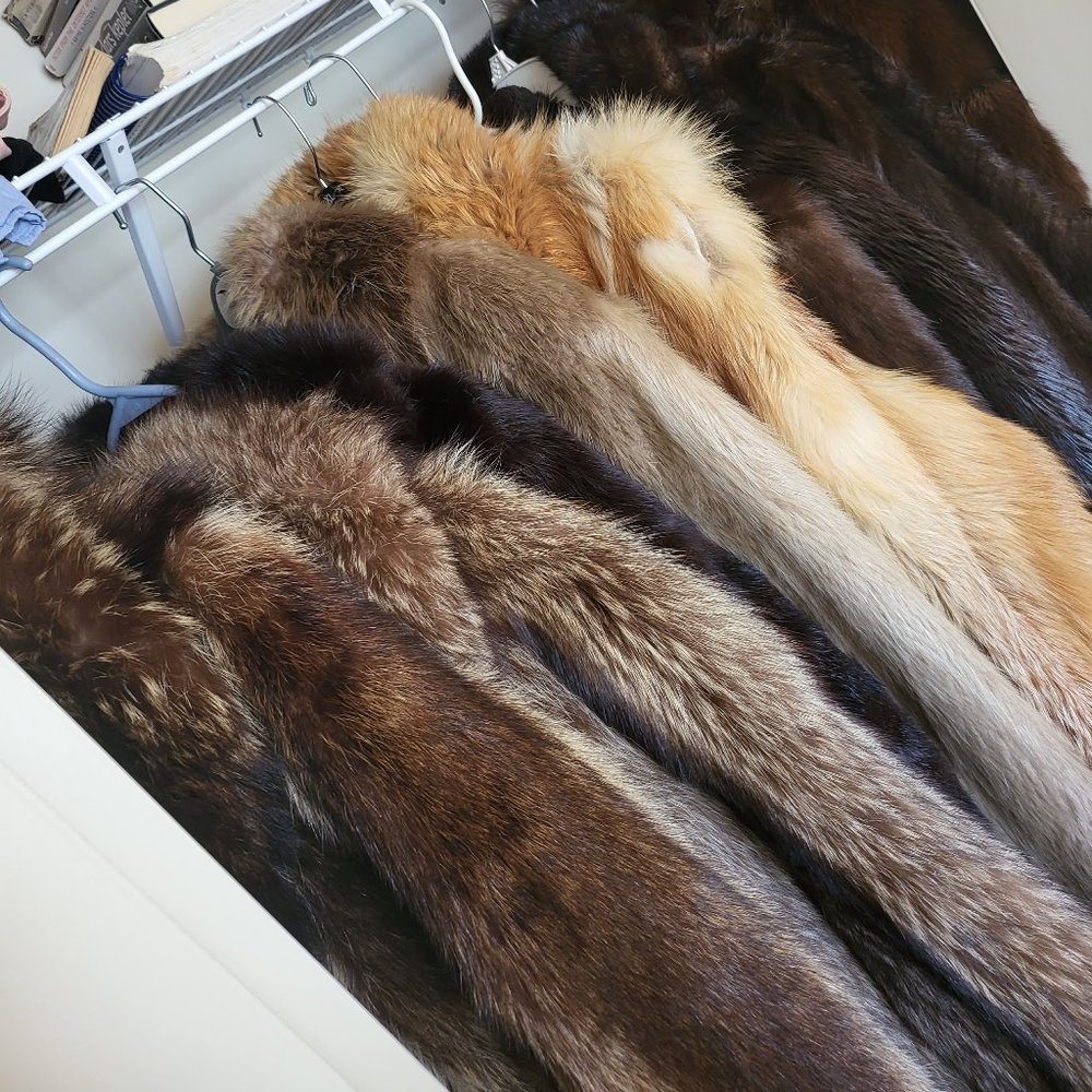 Meet your Posher, Dan